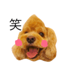 りおと愉快な仲間たち。（個別スタンプ：29）