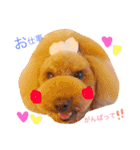 りおと愉快な仲間たち。（個別スタンプ：32）