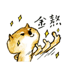 goooooood Shiba dooogy（個別スタンプ：5）