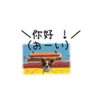 続おーい！と呼んでるパピヨン犬(日本語)（個別スタンプ：6）