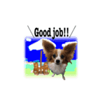 続おーい！と呼んでるパピヨン犬(日本語)（個別スタンプ：21）