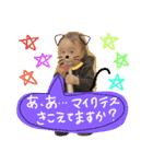 loveMS（個別スタンプ：8）