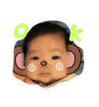 Ranpippi（個別スタンプ：1）