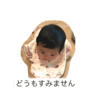 Ranpippi（個別スタンプ：6）