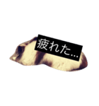 まろん m（個別スタンプ：2）
