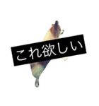 まろん m（個別スタンプ：7）
