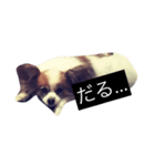 まろん m（個別スタンプ：13）