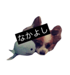 まろん m（個別スタンプ：16）