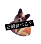 まろん m（個別スタンプ：18）