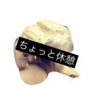 まろん m（個別スタンプ：19）