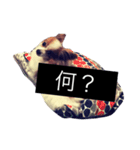 まろん m（個別スタンプ：22）