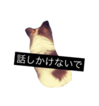 まろん m（個別スタンプ：23）