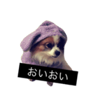 まろん m（個別スタンプ：25）