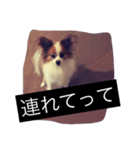 まろん m（個別スタンプ：26）