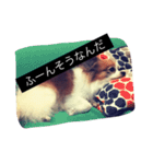 まろん m（個別スタンプ：27）