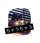まろん m（個別スタンプ：32）