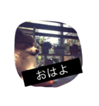 まろん m（個別スタンプ：33）