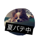 まろん m（個別スタンプ：34）