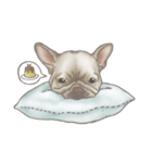 Foodie French Bulldog's daily life（個別スタンプ：3）