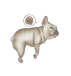 Foodie French Bulldog's daily life（個別スタンプ：8）