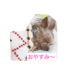 ネオテナ（個別スタンプ：1）