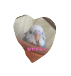 小鳥屋ゆきちゃん（個別スタンプ：5）