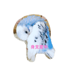 小鳥屋ゆきちゃん（個別スタンプ：6）