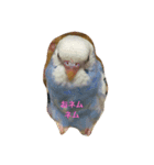 小鳥屋ゆきちゃん（個別スタンプ：8）