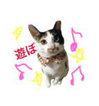 えむおーつー（個別スタンプ：1）