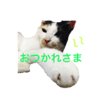 えむおーつー（個別スタンプ：2）