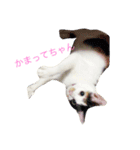 えむおーつー（個別スタンプ：4）