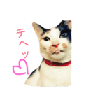 えむおーつー（個別スタンプ：5）