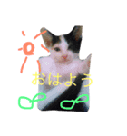 えむおーつー（個別スタンプ：7）