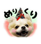 ポメラニアン まめぞう日記②（個別スタンプ：36）