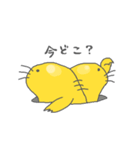 こんにちはモグtan（個別スタンプ：6）