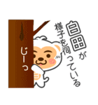 「白田」さん専用スタンプ（個別スタンプ：17）