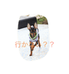ベルリンの壁（個別スタンプ：6）