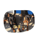 ベルリンの壁（個別スタンプ：9）