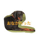 ベルリンの壁（個別スタンプ：12）