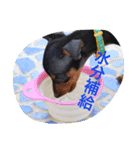 ベルリンの壁（個別スタンプ：13）