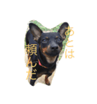 ベルリンの壁（個別スタンプ：14）