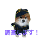 コスプレドッグ（個別スタンプ：5）