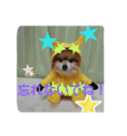 コスプレドッグ（個別スタンプ：9）