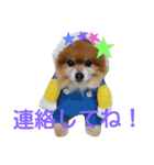 コスプレドッグ（個別スタンプ：10）