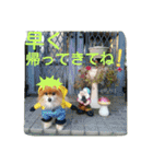 コスプレドッグ（個別スタンプ：11）
