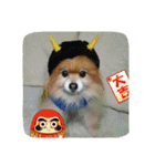 コスプレドッグ（個別スタンプ：17）