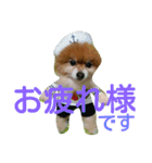 コスプレドッグ（個別スタンプ：18）