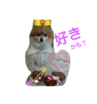 コスプレドッグ（個別スタンプ：21）