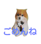 コスプレドッグ（個別スタンプ：31）