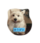 にこジェニミラン（個別スタンプ：1）